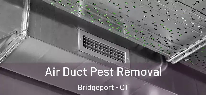 Air Duct Pest Removal Bridgeport - CT