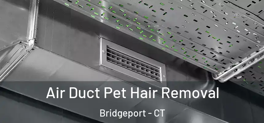 Air Duct Pet Hair Removal Bridgeport - CT