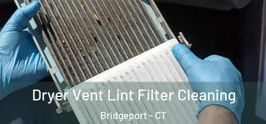 Dryer Vent Lint Filter Cleaning Bridgeport - CT