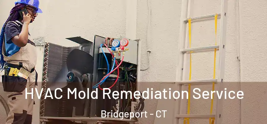 HVAC Mold Remediation Service Bridgeport - CT