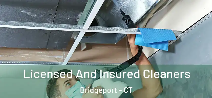 Licensed And Insured Cleaners Bridgeport - CT