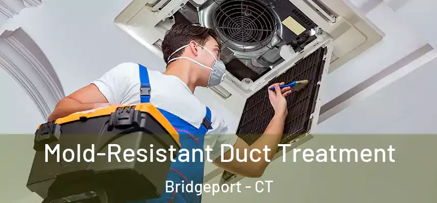 Mold-Resistant Duct Treatment Bridgeport - CT