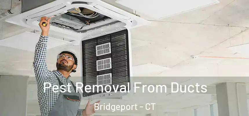Pest Removal From Ducts Bridgeport - CT