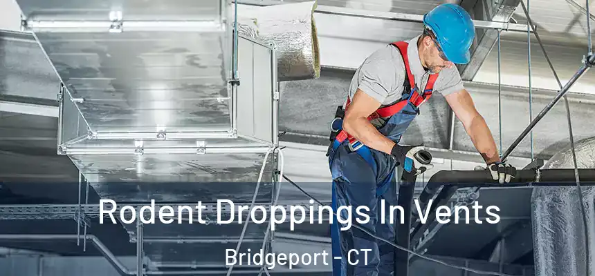 Rodent Droppings In Vents Bridgeport - CT