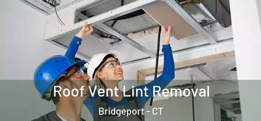 Roof Vent Lint Removal Bridgeport - CT