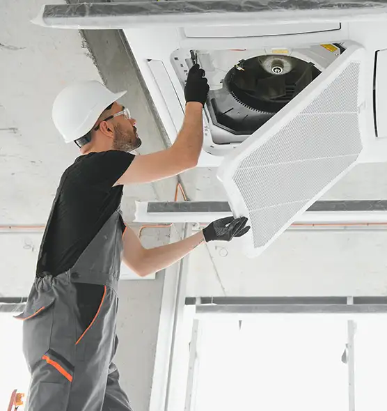 About Air Duct Rodent Removal in Bridgeport, CT