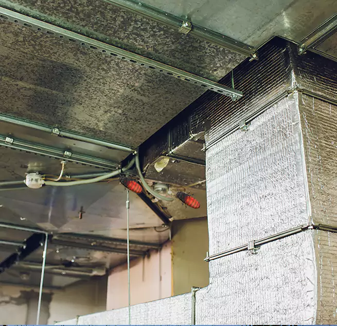 Why Homeowners & Businesses Trust Us in Bridgeport, CT?