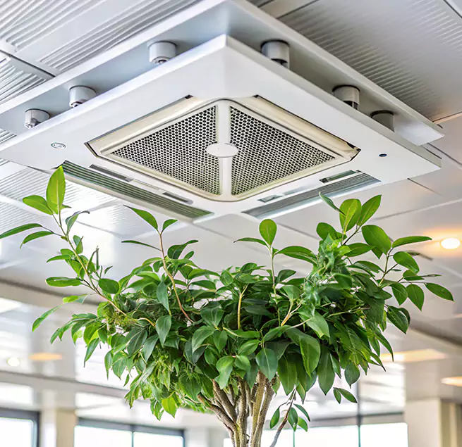 Why Homeowners & Businesses Trust Us in Bridgeport, CT